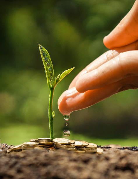 Aportes que crecen: brote naciendo de monedas